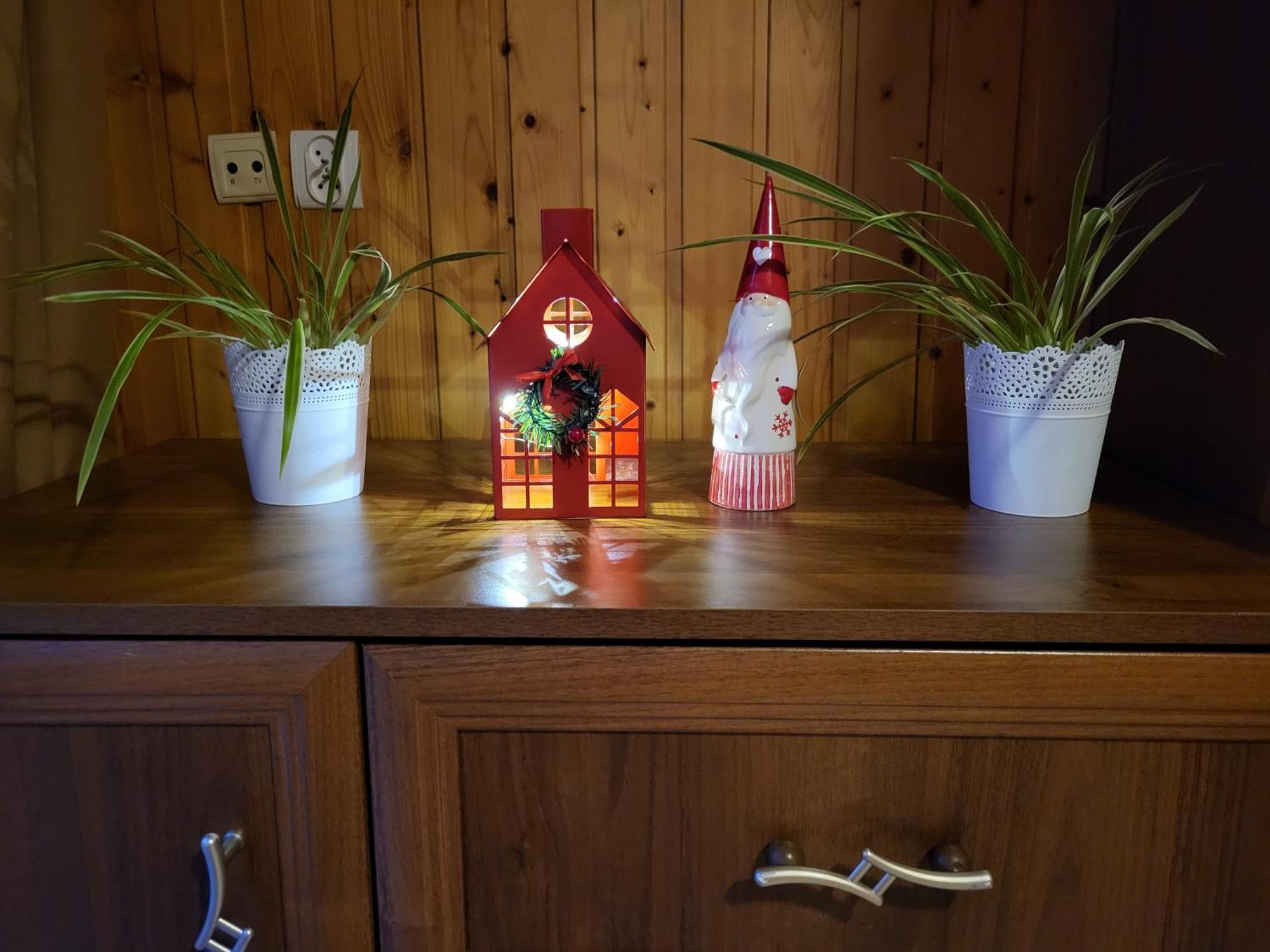 Apartament Harenda 2 Ζακοπάνε Εξωτερικό φωτογραφία